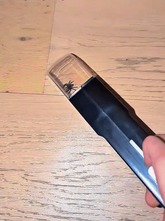 Insektsfångare